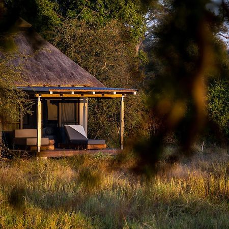 Simbavati Waterside Klaserie Private Nature Reserve Quarto foto